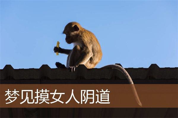 梦到生女儿是什么意思 梦到生女儿是什么意思