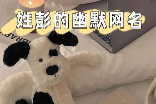 彭姓男孩名字大全-彭姓男孩起名字大全-彭姓名字大全姓名